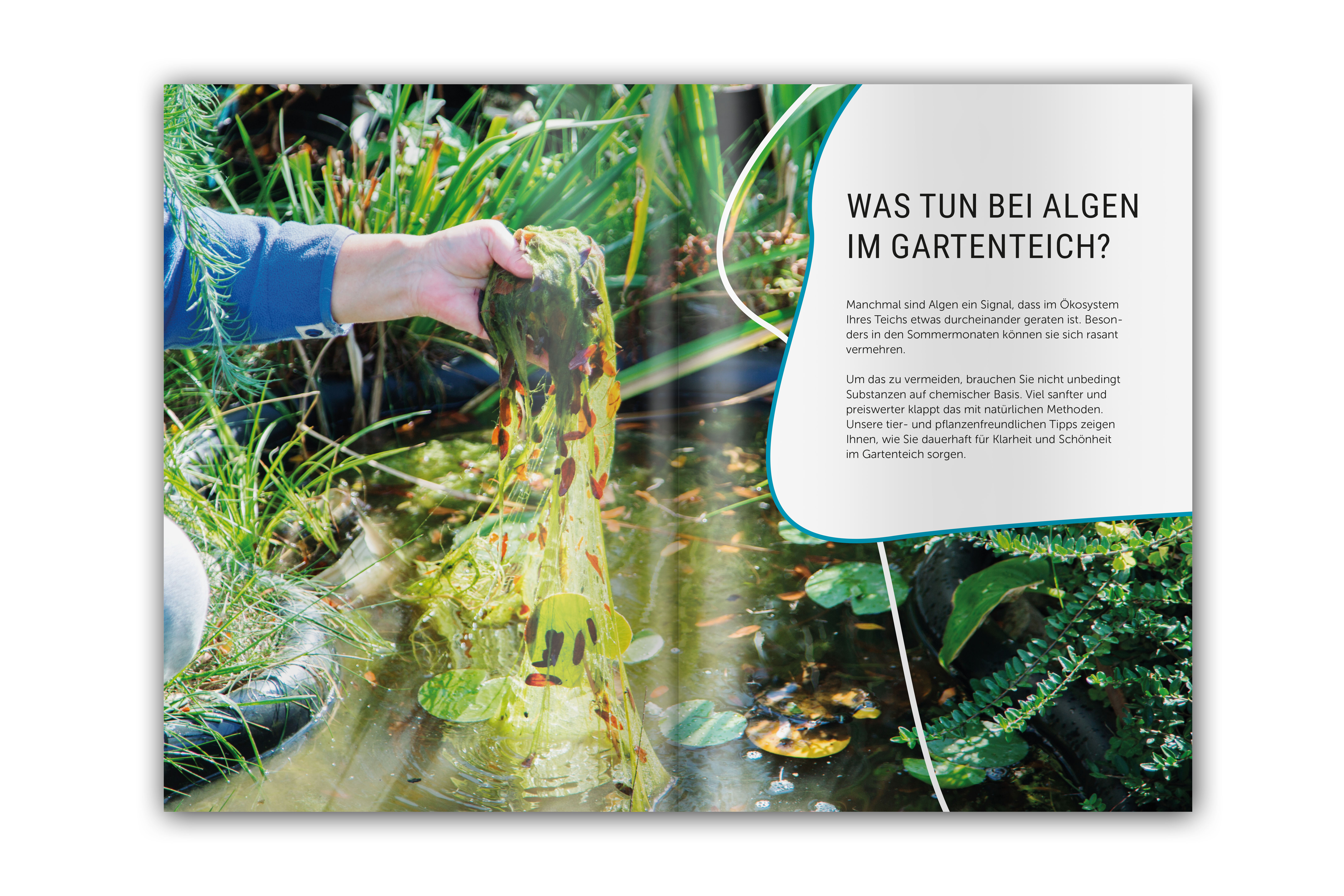 Flexible Produktpräsentation in unseren Pre-Made-Magazinen